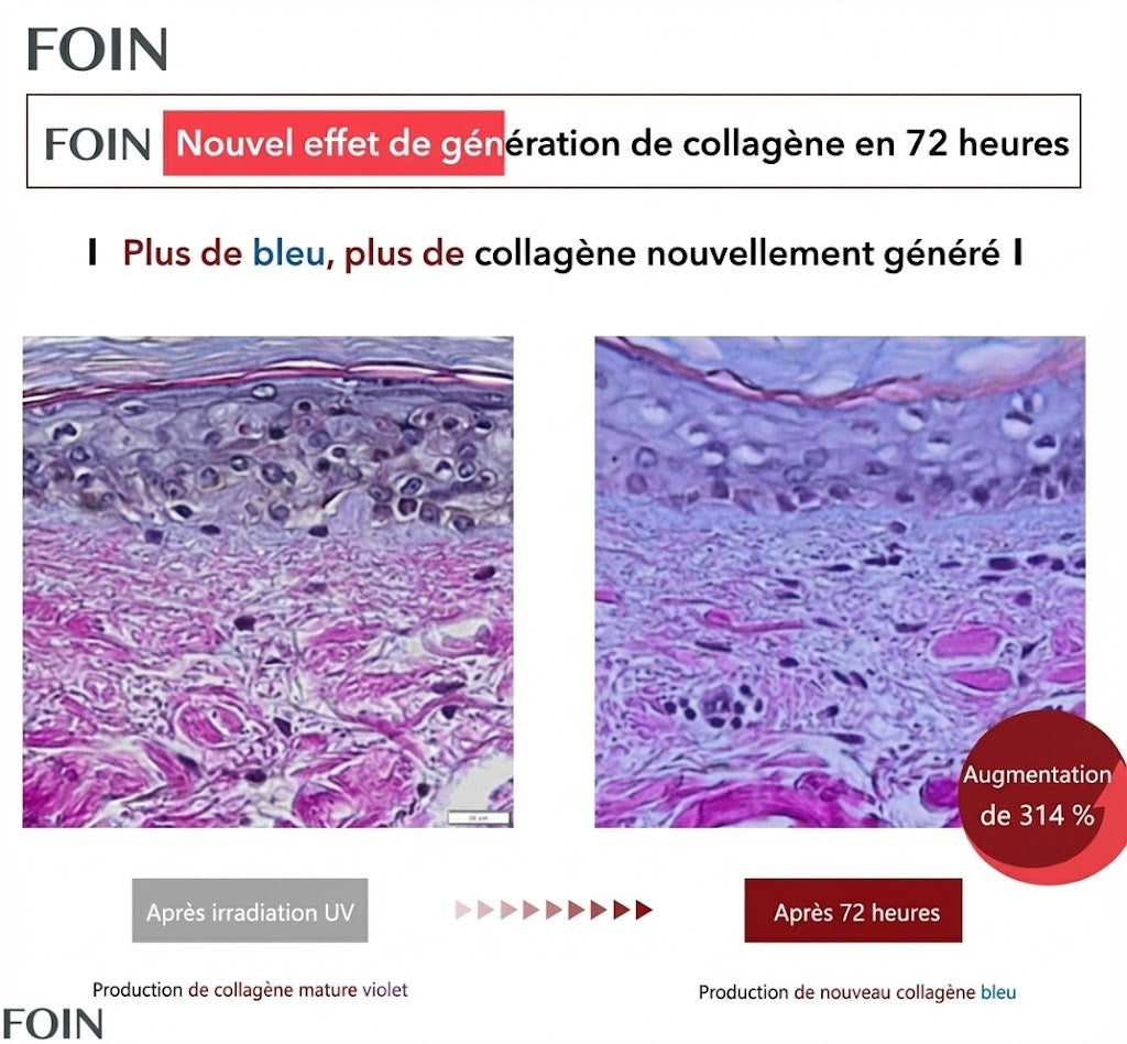 Foin™ Crème Madeca Soin Anti-Âge Absolu